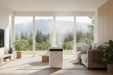 Deshumidificadores en Chile: guía para elegir el mejor en climas húmedos