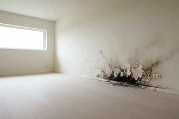 Habitación minimalista con humedad, moho y daños en la pared blanca, problemas de climatización.